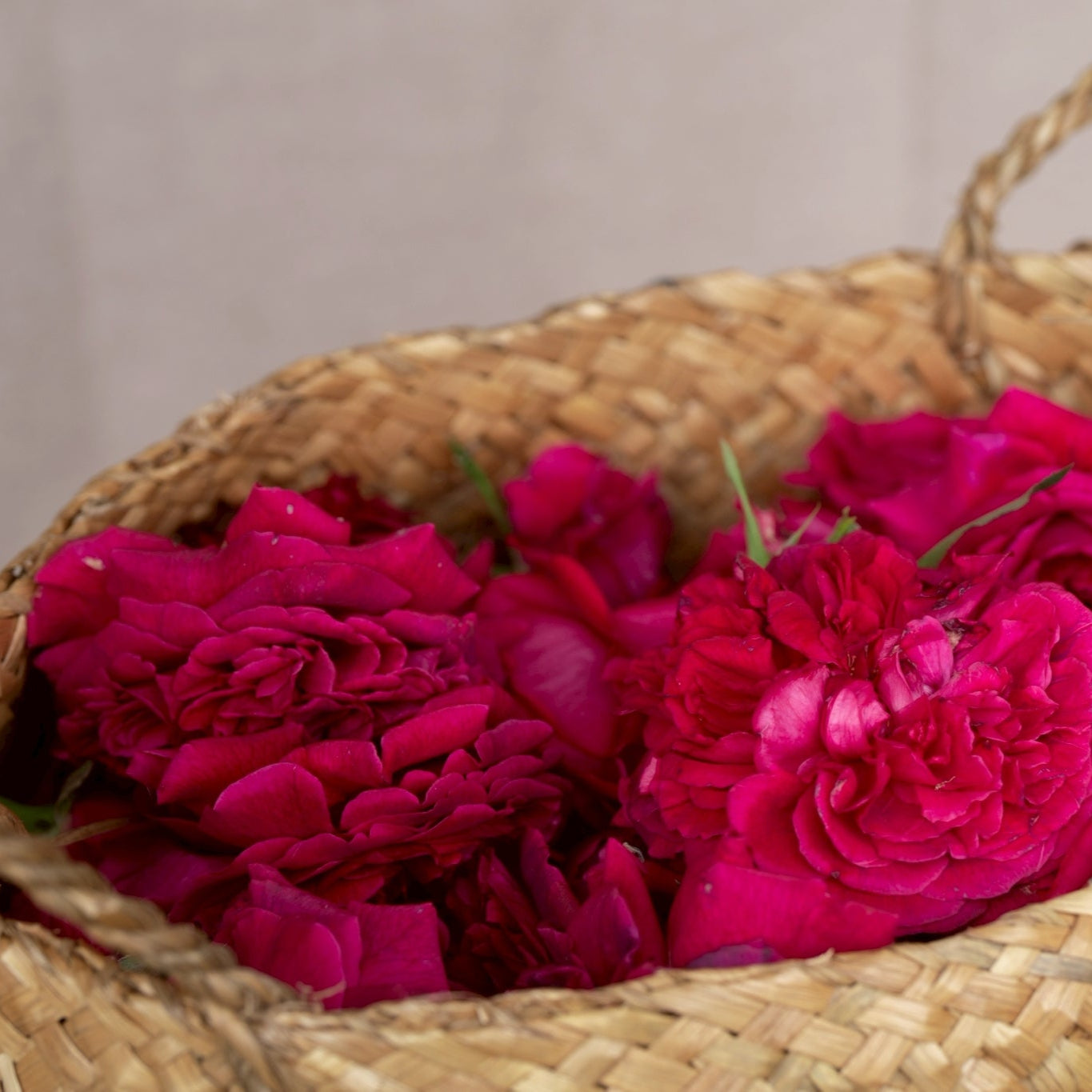 【飲むバラの酢】THEROSEビネガー