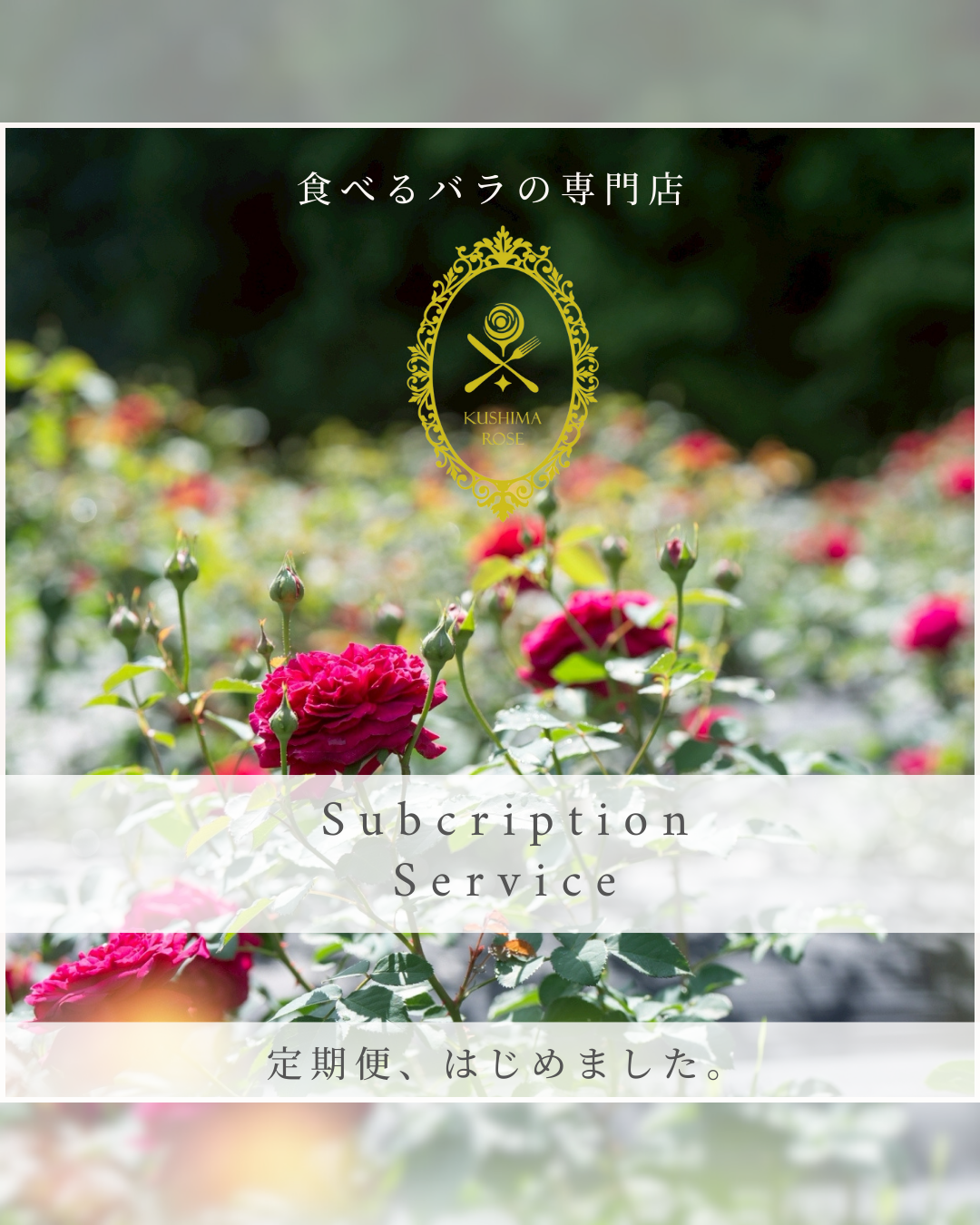 定期便、はじめました。