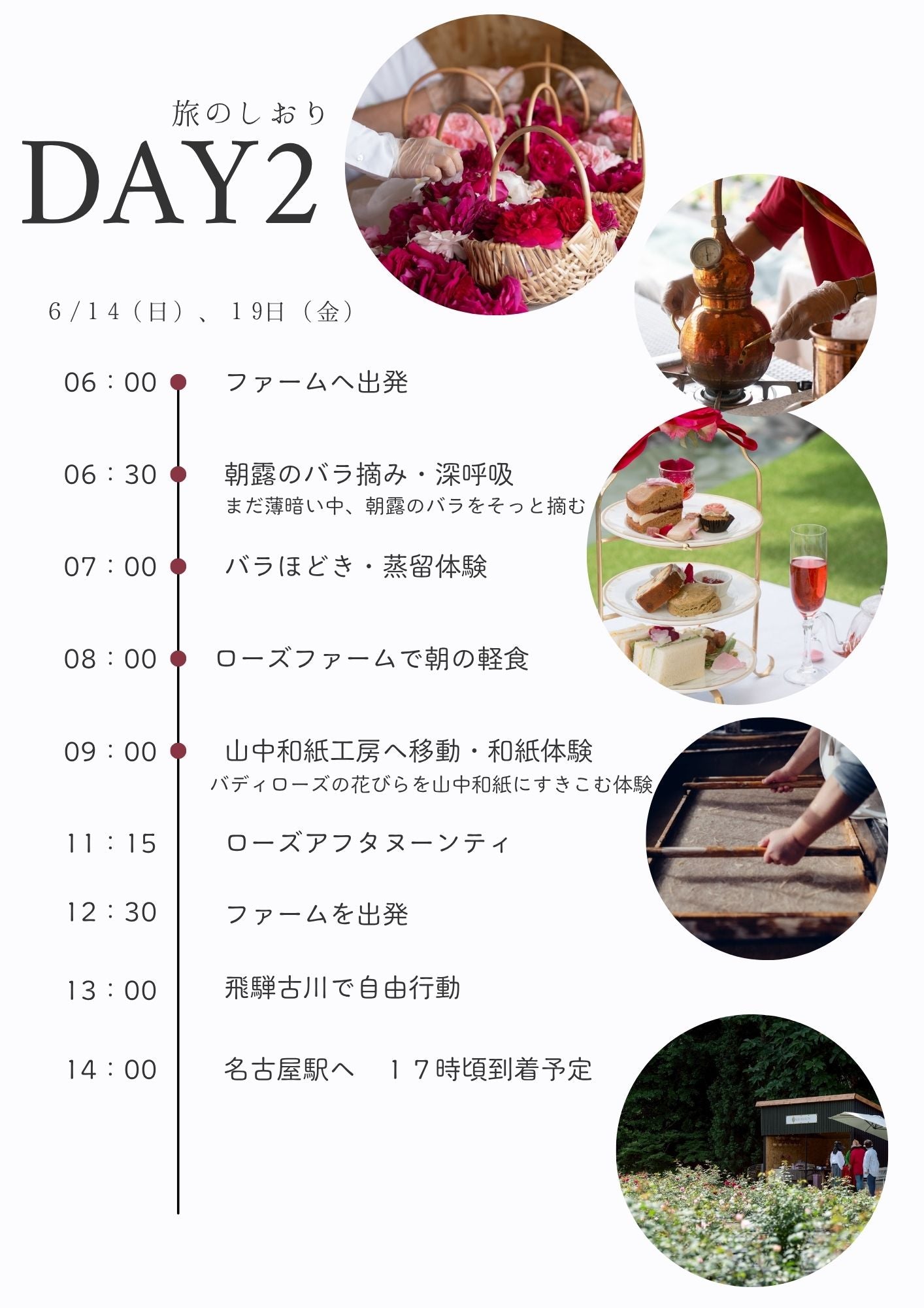 【1泊2日】名古屋発着バラ摘み体験バスツアー