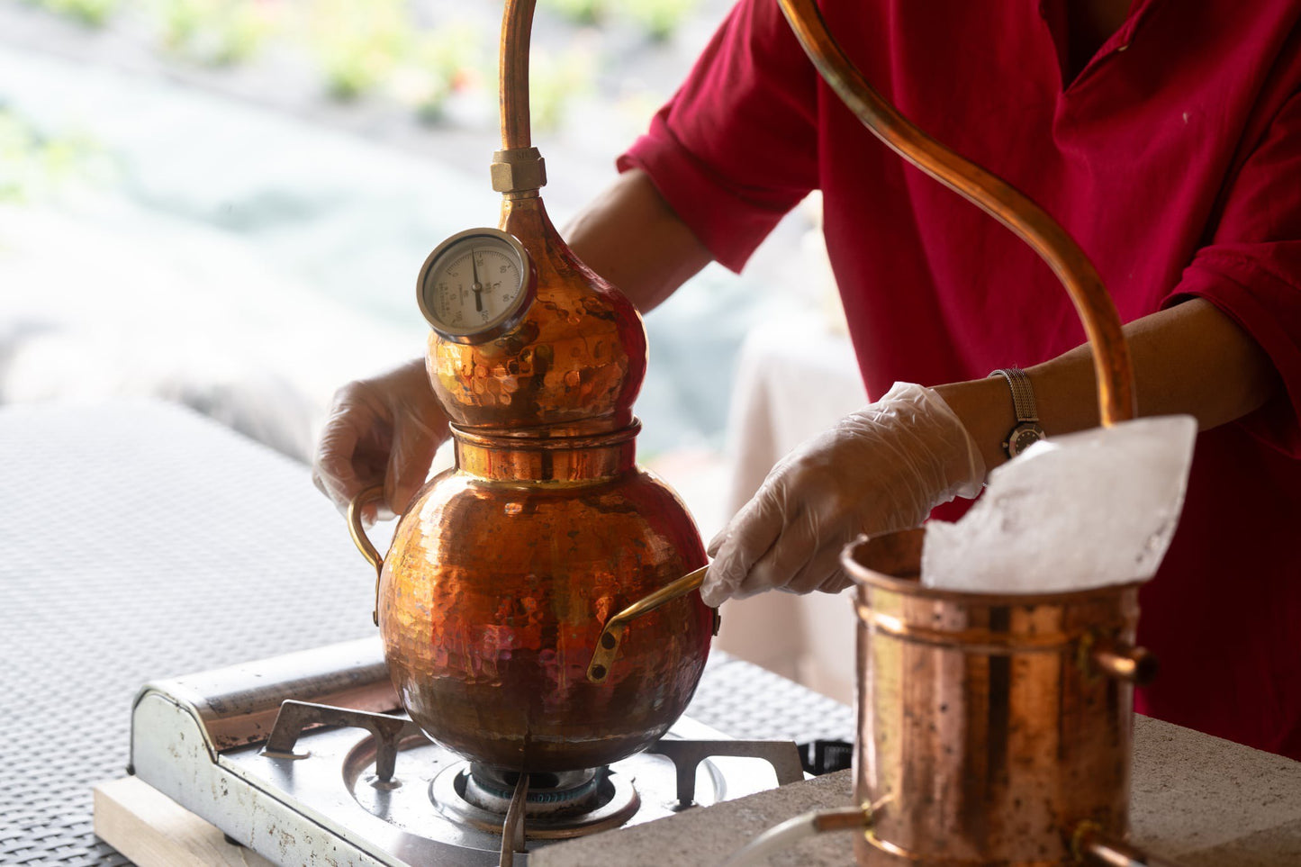 [2-Day, 1-Night] Rose Picking Bus Tour from Nagoya