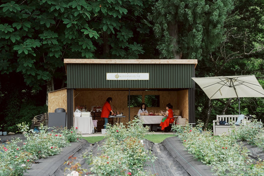 [2 nights, 3 days] First rose picking VIP tour