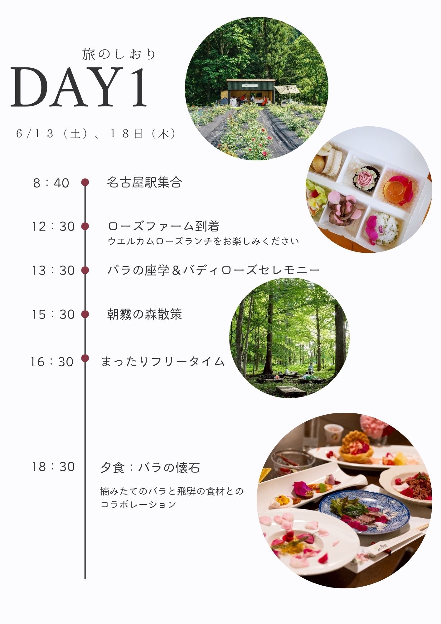 【1泊2日】名古屋発着バラ摘み体験バスツアー