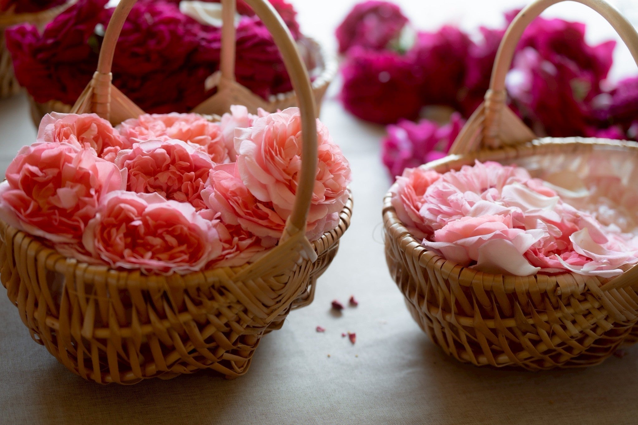 送料無料 ナッシュ ／ ナチュラル茉莉花 バーム 35g 6個