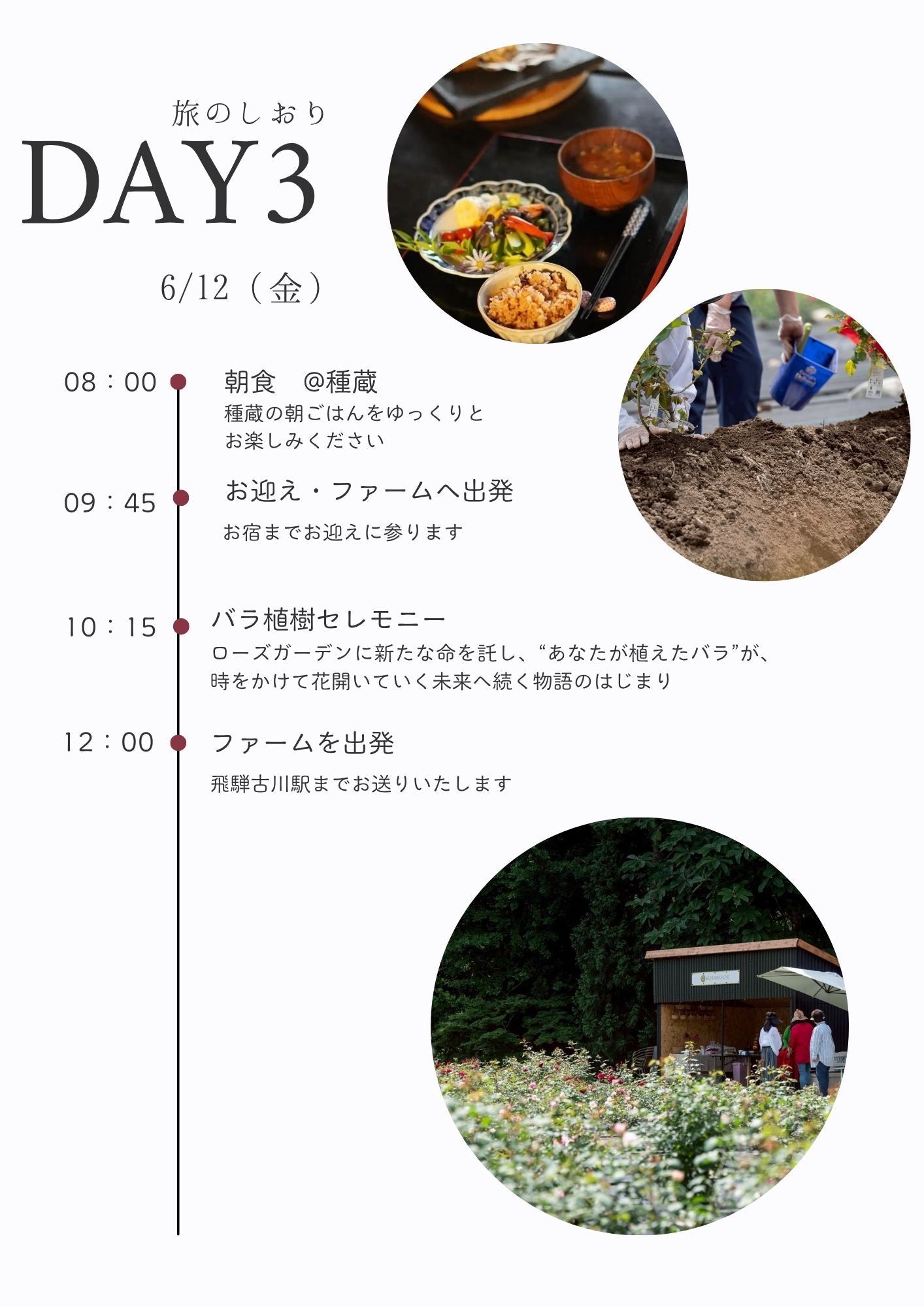 [2 nights, 3 days] First rose picking VIP tour