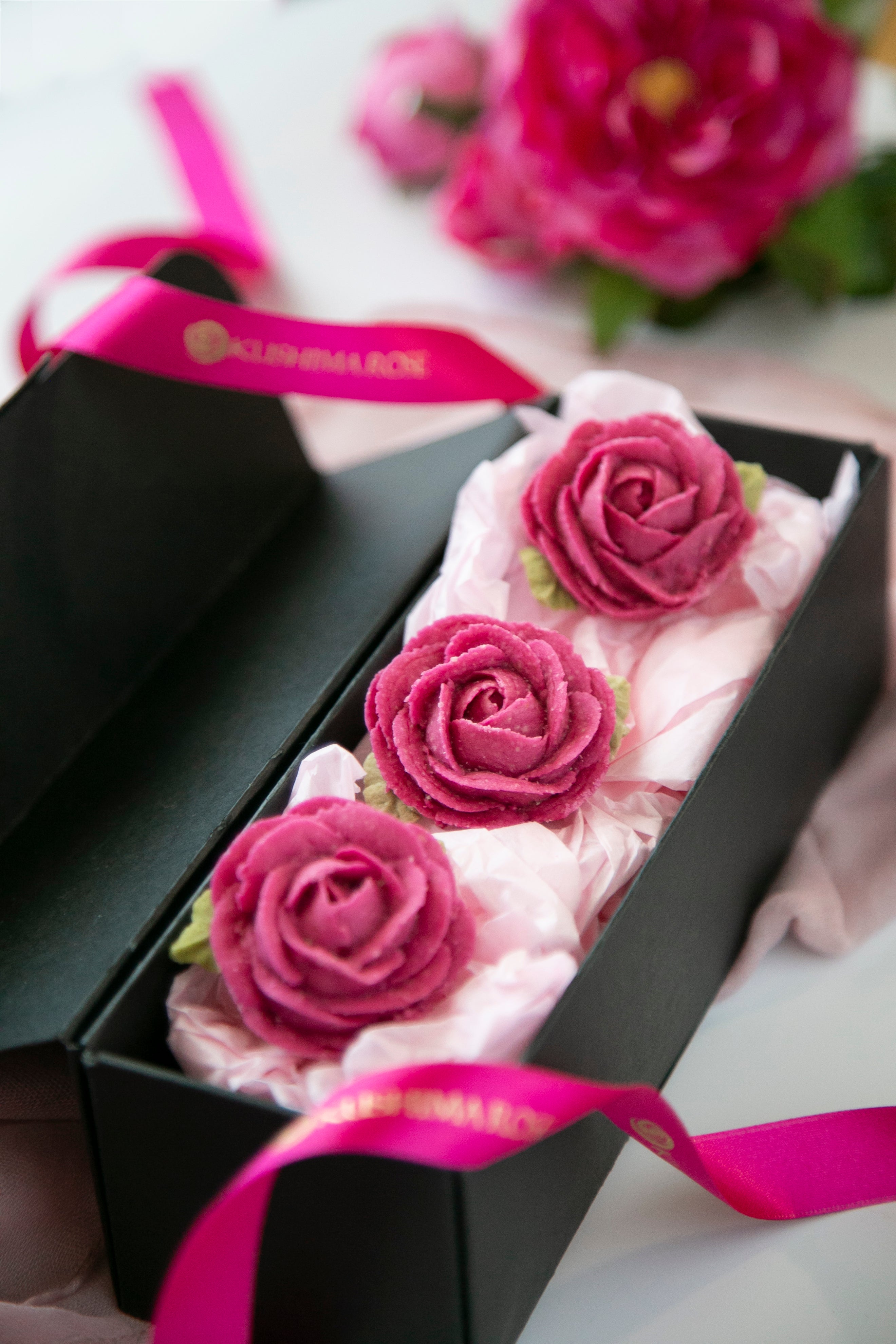 anrose – KUSHIMA ROSE